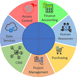 How to create seven elements graph or seven factors diagram - Microsoft ...