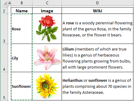 spreadsheets clipart of flowers